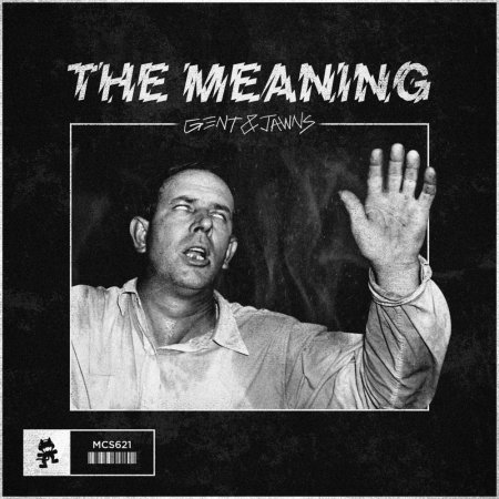 Gent & Jawns - The Meaning (Original Mix)