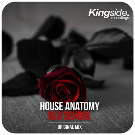 House Anatomy - Old School (Original Mix)