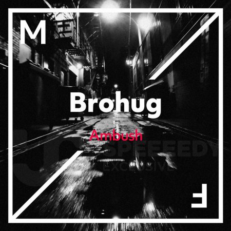 BROHUG - Ambush (Extended Mix) Bass House