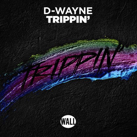 D-Wayne - Trippin (Original Mix)