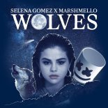 Selena Gomez x Marshmello - Wolves (Da Brozz Bootleg)