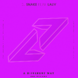 DJ Snake feat. Lauv- A Different Way (Henry Fong Remix)