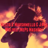 Mesto & Marshmello & J.Fla - Wolves (MePs MashUp)