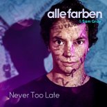 Alle Farben & Sam Gray - Never Too Late (Original Mix)
