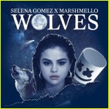 Selena Gomez & Marshmello - Wolves (Federico Seven Bootleg Remix)