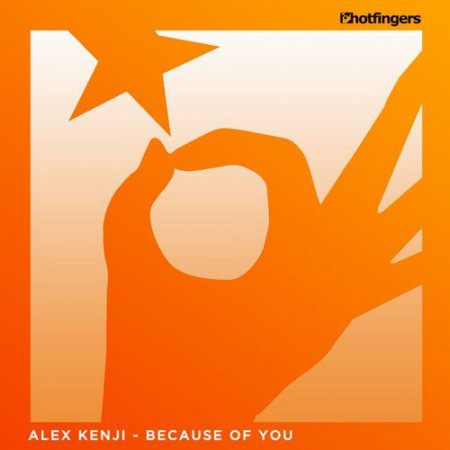 Alex Kenji - Because Of You (Original Mix)