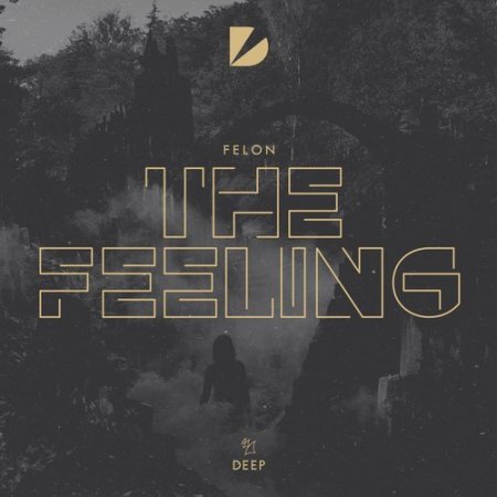 Felon - The Feeling (Extended Mix)