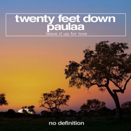 Twenty Feet Down, Paulaa - Leave It up for Love (Extended Mix)