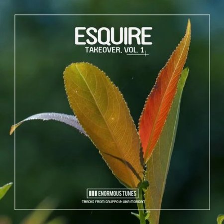 Lika Morgan - Discovery Channel (eSQUIRE Remix)