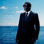 Akon - Beautiful (Gian Demilio & Nordigaz Festival Bootleg)
