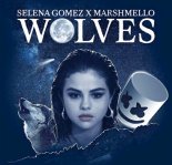 Selena Gomez & Marshmello - Wolves (Dualmind Remix)