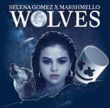 Selena Gomez feat. Marshmello - Wolves (Ramirez & O'Neill Radio Remix)