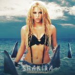 Shakira - Whenever, Wherever (Lionis & Jannik Vistisen Bootleg)