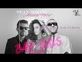 Sean Norvis feat. Alexandra Mitroi & Pacha Man - Bad Girls ( Erick Fill Remix )