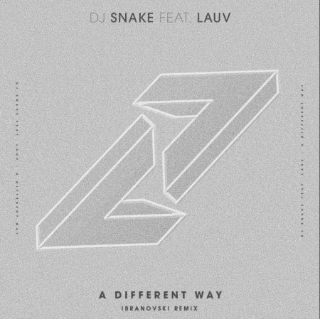 DJ Snake feat. Lauv - A Different Way (Ibranovski Remix)