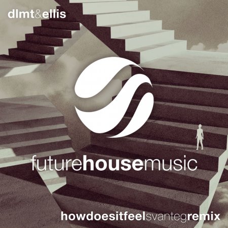 DLMT & Ellis feat. AWR - How Does it Feel (SvanteG Remix)