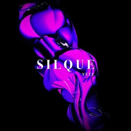 Silque - Fete (Original Mix)