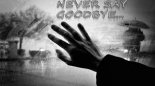 Hardwell & Dyro Feat. Bright Lights - Never Say Goodbye (Wozinho Re-Edit)