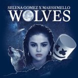Selena Gomez, Marshmello - Wolves (Andry J Private Remix)