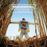 Rudimental ft. Jess Glynne, Macklemore & Dan Caplen - These Days (R3HAB Remix)