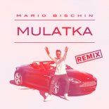 Mario Bischin - Mulatka (DJ Sequence Remix)