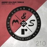 Andrey Exx Ft. Terri B! - Been A Long Time (Original Mix)