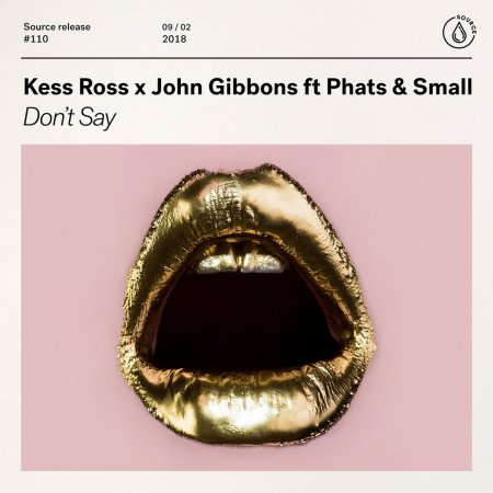Kess Ross x John Gibbons feat. Phats & Small - Don’t Say (Extended Mix)