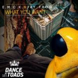 E.M.C.K. & Jay Frog - What You Want (Original Mix)