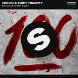 Vini Vici & Timmy Trumpet - 100 (feat. Symphonic) (Original Mix)