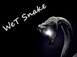 Shanguy - La Louze (Wet Snake V.I.P Edit)