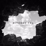 Avicii - Without You (Reece Low Bootleg)