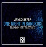 Vinylshakerz - One Night In Bangkok (Brandon HertZ Bootleg )
