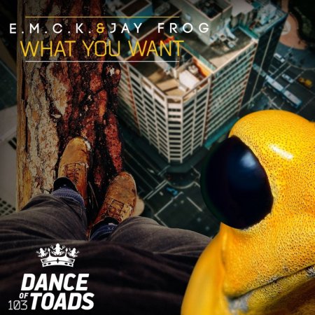 E.M.C.K. & Jay Frog - What You Want (Extended Mix)