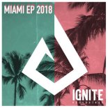 Firebeatz - Ignite (Laidback Luke Remix)