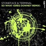 Stoneface & Terminal - So What (Greg Downey Extended Remix)