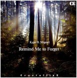 Kygo ft. Miguel - Remind Me to Forget (Crystalline Remix)