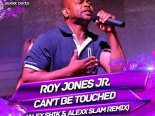 Roy Jones Jr. - Can't Be Touched (Alex Shik & Alexx Slam Remix)