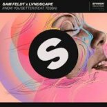 Sam Feldt & LVNDSCAPE feat. Tessa - Know You Better (Original Mix)