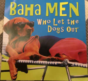 Baha Men - Who Let The Dogs Out (C. Baumann Remix)