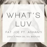 Fat Joe ft. Ashanti – Whats Luv 2018 (ZIGGY X Praia del Sol bootleg)