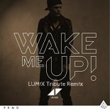 Avicii - Wake Me Up (LUM!X Tribute Remix)