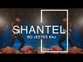 ShanteL – Bo Jesteś Naj (DanceFreak & 99ers Remix)