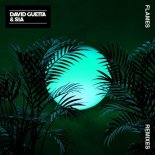 David Guetta & Sia - Flames (Robin Schulz Remix)