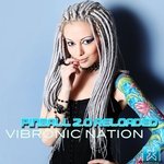 Vibronic Nation – Pinball 2.0 Reloaded (Radio Edit)