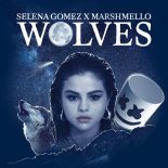 Selena Gomez, Marshmello - Wolves (Que & Rkay Bootleg)