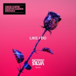 David Guetta, Martin Garrix, Brooks - Like I Do (Ricardo Silva Remix)