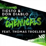 Tiësto & Don Diablo - Chemicals (Niclas Schulz Remix)