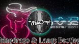 Sean Paul & David Guetta - Mad love (Mandrazo & Laags Bootleg)