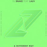 DJ Snake feat. Lauv - A Different Way (Vixx Bootleg)