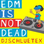 DjSchluetex - Hype the EDM